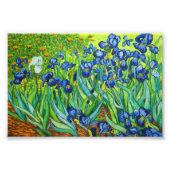 Van Gogh Irises Fotodruck (Vorne)