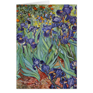 Van Gogh Irises Impressionist Painting
