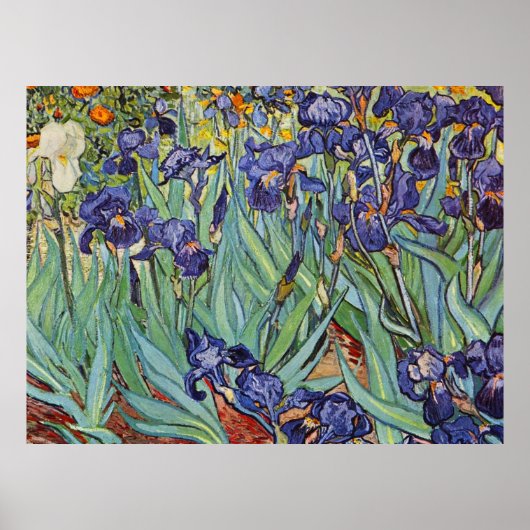 Van Gogh Irises Impressionist Painting Poster (Vorne)