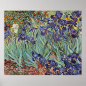 Van Gogh Irises Impressionist Painting Poster (Vorne)