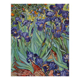 Van Gogh Irises Impressionist Painting Poster