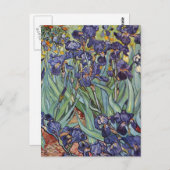 Van Gogh Irises Impressionist Painting Postkarte (Vorne/Hinten)