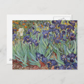Van Gogh Irises Impressionist Painting Postkarte (Vorne/Hinten)