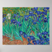 Van Gogh Irises Painting Poster (Vorne)