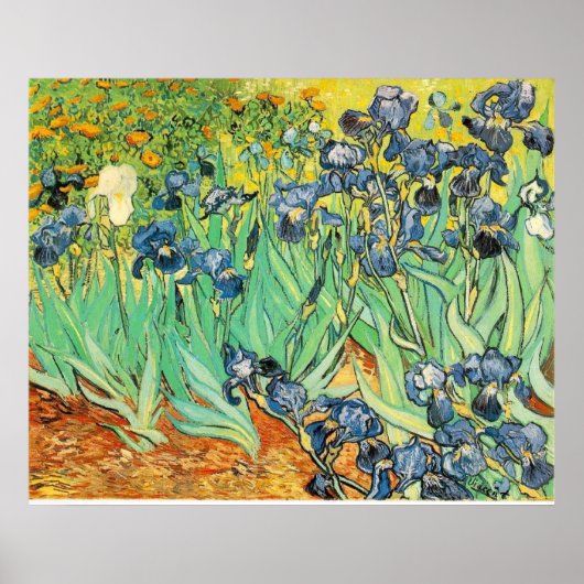 Van Gogh Irises Poster (Vorne)