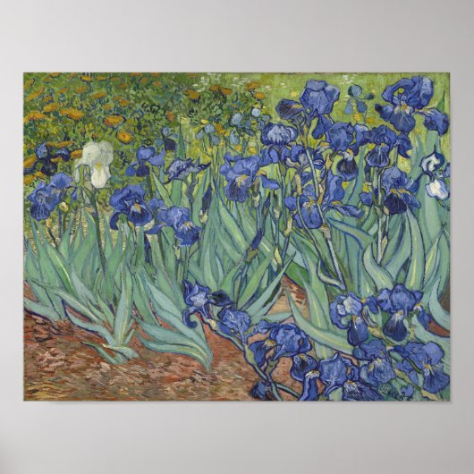 van Gogh Irises Poster (Vorne)