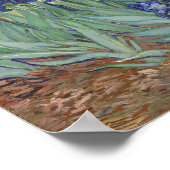 van Gogh Irises Poster (Ecke)