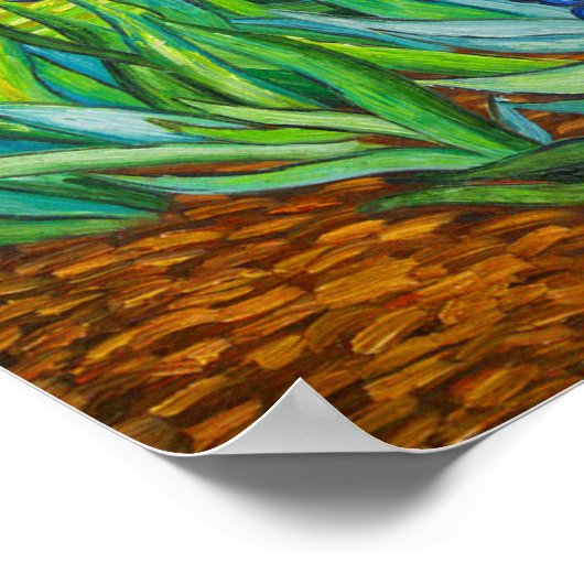 Van Gogh Irises Poster (Ecke)