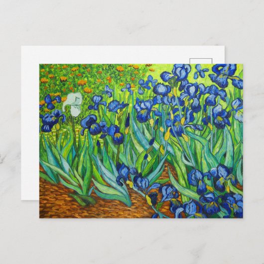 Van Gogh Irises Postkarte (Vorne/Hinten)