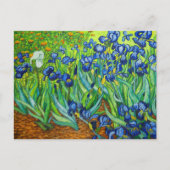 Van Gogh Irises Postkarte (Vorderseite)