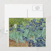 Van Gogh Irises Postkarte (Vorne/Hinten)