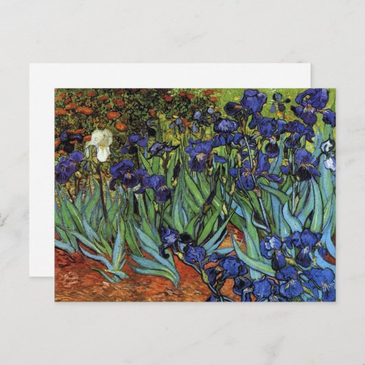 Van Gogh Irises Postkarte (Vorne/Hinten)