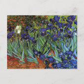 Van Gogh Irises Postkarte (Vorderseite)