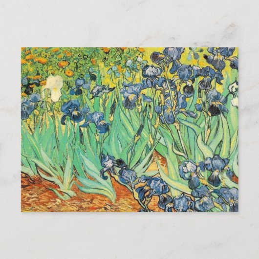 Van Gogh Irises Postkarte (Vorderseite)