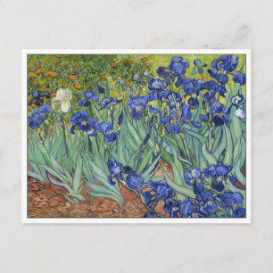 Van Gogh Irises Vintag Fine Art Floral Postkarte