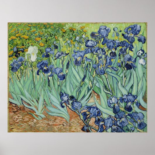 Van Gogh Irises, Vintager Post-Impressionismus Art Poster (Vorne)