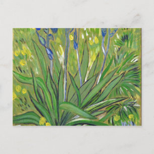 Van Gogh Kunst Irises, Acryl-Reproduktion Postkarte