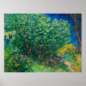 Van Gogh - Lilac Bush Poster (Vorne)