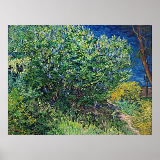 Van Gogh - Lilac Bush Poster (Vorne)