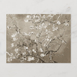 Van Gogh Mandelzweige in Blüte - Sepia Postkarte