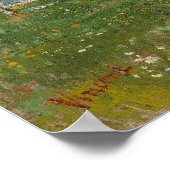 Van Gogh - Obstgarten in Blossom (Pflaumen) Poster (Ecke)