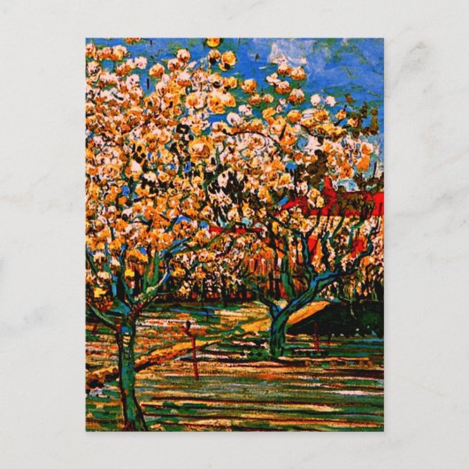 Van Gogh - Obstgarten in Blossom Postkarte (Vorderseite)