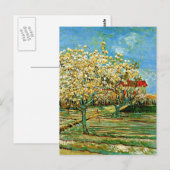 Van Gogh - Obstgarten in Blossom Postkarte (Vorne/Hinten)