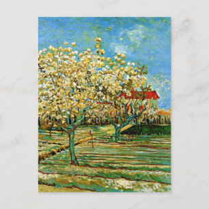 Van Gogh - Obstgarten in Blossom Postkarte