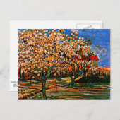 Van Gogh - Obstgarten in Blossom Postkarte (Vorne/Hinten)