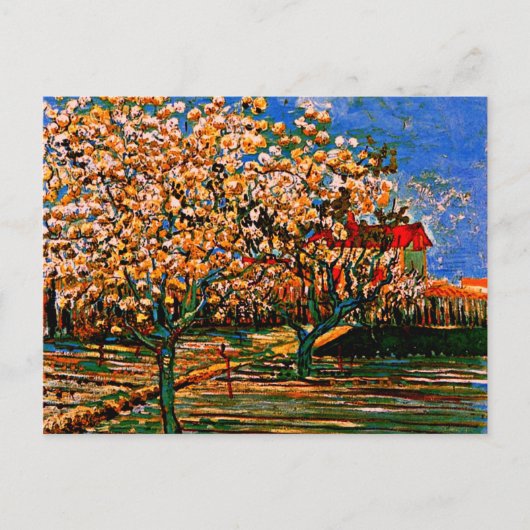 Van Gogh - Obstgarten in Blossom Postkarte (Vorderseite)