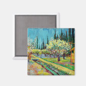 Van Gogh - Obstgarten, von Zypressen begrenzt Magnet (Vorderseite/Rückseite)