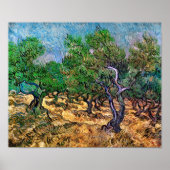 Van Gogh - Olive Grove Poster (Vorne)