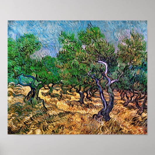 Van Gogh - Olive Grove Poster (Vorne)