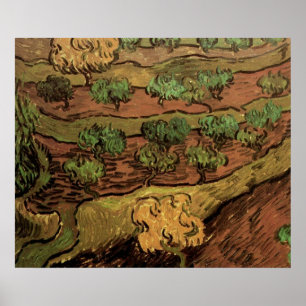 Van Gogh Olivenbäume gegen eine Steigung eines Hüg Poster