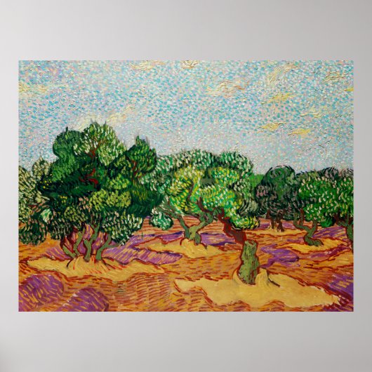 Van Gogh - Olivenbäume, Poster (Vorne)