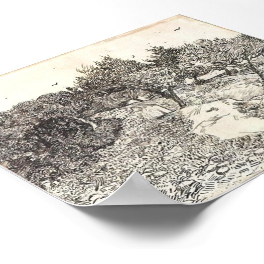 Van Gogh - Olivenbäume Poster (Ecke)