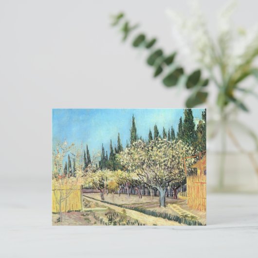 Van Gogh Orchard in Blossom, grenzt an die Zypress Postkarte (Stehend Vorderseite)