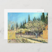 Van Gogh Orchard in Blossom, grenzt an die Zypress Postkarte (Vorne/Hinten)