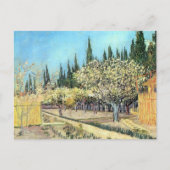 Van Gogh Orchard in Blossom, grenzt an die Zypress Postkarte (Vorderseite)