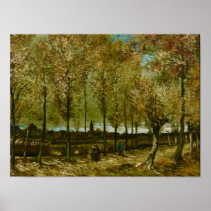 Van Gogh Pappeln in der Nähe von Nuenen Landschaft Poster