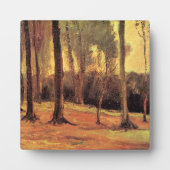 Van Gogh - Rand eines Waldes, Fotoplatte (Vorderseite)