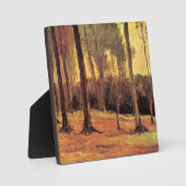 Van Gogh - Rand eines Waldes, Fotoplatte (Vorderseite)