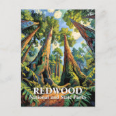 Van Gogh Redwoods Park California Poster Style Postkarte (Vorderseite)
