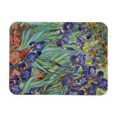 Van Gogh Schwertlilien Impressionistisches Gemälde Magnet (Horizontal)
