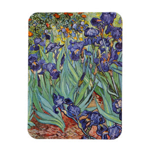 Van Gogh Schwertlilien Impressionistisches Gemälde Magnet