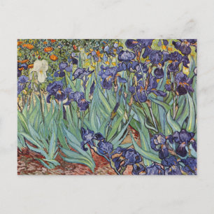 Van Gogh Schwertlilien Impressionistisches Gemälde Postkarte