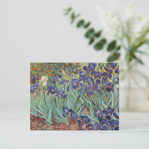 Van Gogh Schwertlilien Impressionistisches Gemälde Postkarte