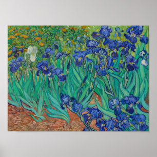 Van Gogh Schwertlilien Poster