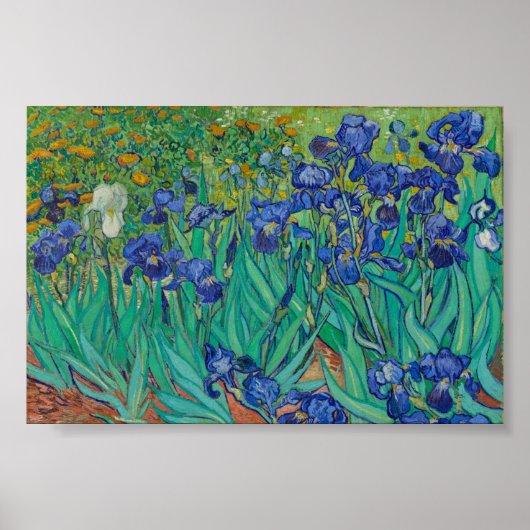Van Gogh Schwertlilien Poster (Vorne)
