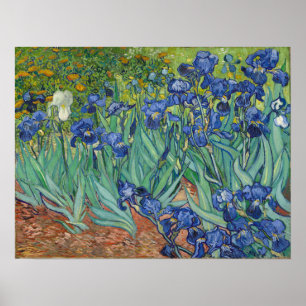 Van Gogh - Schwertlilien Poster